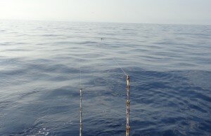 Corrente, Pasta alle sarde