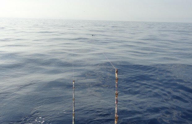 Corrente, Pasta alle sarde
