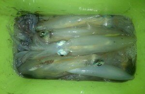 IMG-20131026-02772