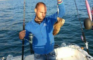 sardina