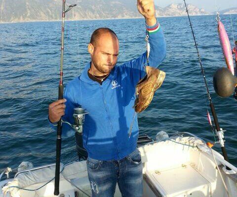 sardina