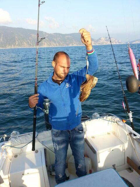 sardina