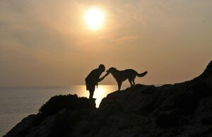 cane al tramonto