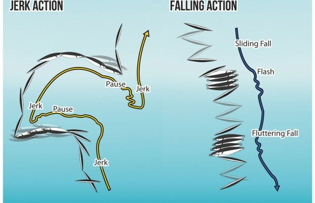 Slow Pitch Action